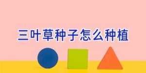 三叶草种子怎么种植