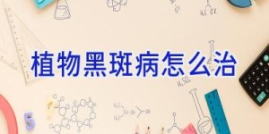 植物黑斑病怎么治