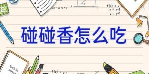 碰碰香怎么吃