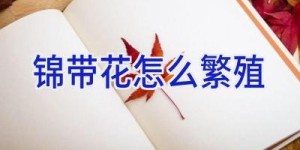 锦带花怎么繁殖