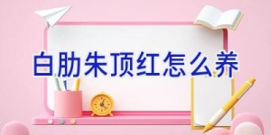 白肋朱顶红怎么养