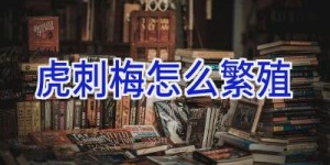 虎刺梅怎么繁殖