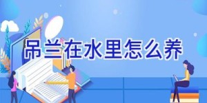 吊兰在水里怎么养