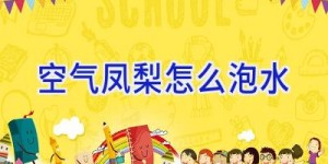 空气凤梨怎么泡水