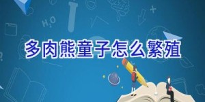 多肉熊童子怎么繁殖