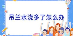 吊兰水浇多了怎么办