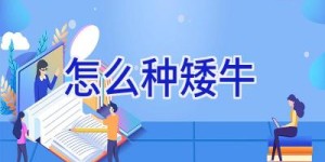 怎么种矮牛