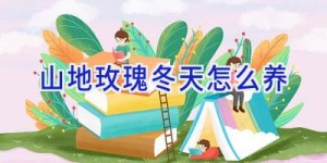 山地玫瑰冬天怎么养