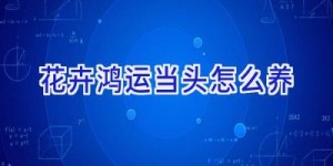 花卉鸿运当头怎么养