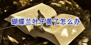 蝴蝶兰叶子黄了怎么办