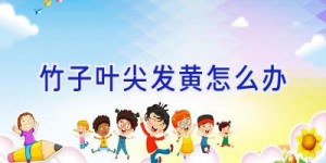 竹子叶尖发黄怎么办