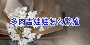 多肉吉娃娃怎么繁殖