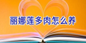 丽娜莲多肉怎么养