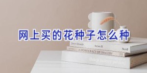 网上买的花种子怎么种