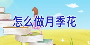怎么做月季花