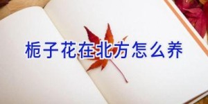 栀子花在北方怎么养