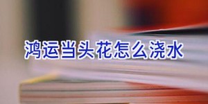 鸿运当头花怎么浇水