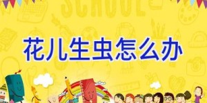 花儿生虫怎么办