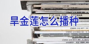 旱金莲怎么播种