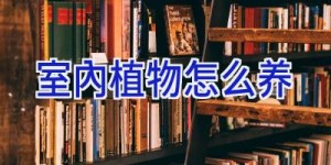 室内植物怎么养