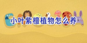 小叶紫檀植物怎么养