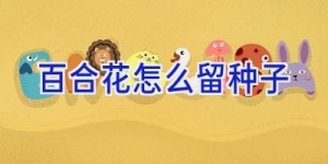 百合花怎么留种子