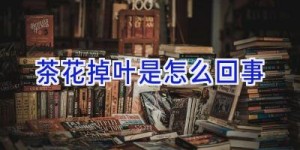 茶花掉叶是怎么回事