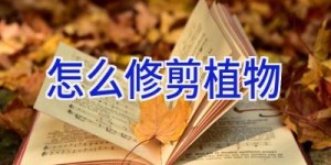 怎么修剪植物