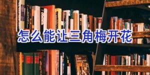 怎么能让三角梅开花