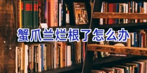 蟹爪兰烂根了怎么办