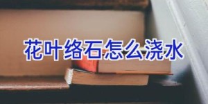 花叶络石怎么浇水