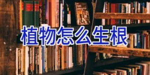 植物怎么生根