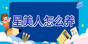 星美人怎么养