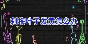 刺梅叶子发黄怎么办