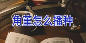 角堇怎么播种
