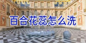 百合花蕊怎么洗