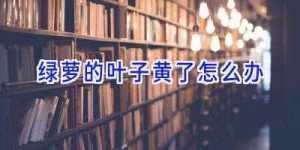 绿萝的叶子黄了怎么办