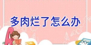 多肉烂了怎么办