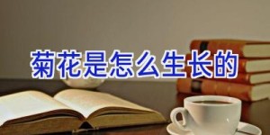 菊花是怎么生长的