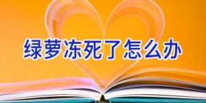 绿萝冻死了怎么办
