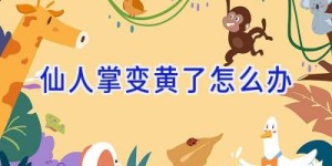 仙人掌变黄了怎么办