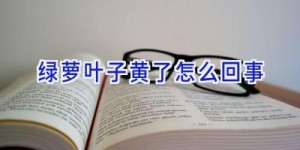 绿萝叶子黄了怎么回事