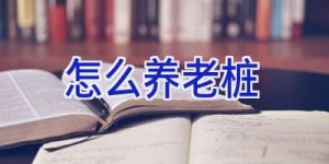 怎么养老桩