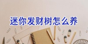 迷你发财树怎么养