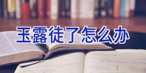 玉露徒了怎么办