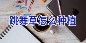 跳舞草怎么种植