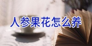 人参果花怎么养