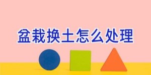 盆栽换土怎么处理