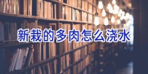 新栽的多肉怎么浇水