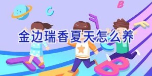 金边瑞香夏天怎么养